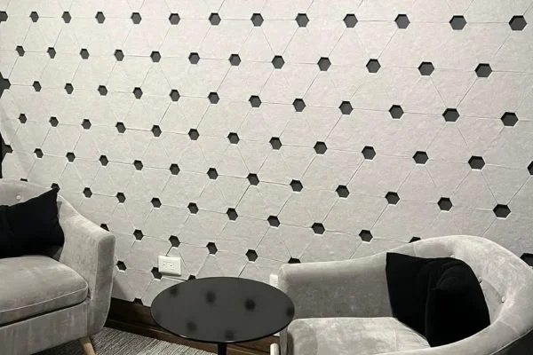 ECHOGRIP PAD TRAINGULO